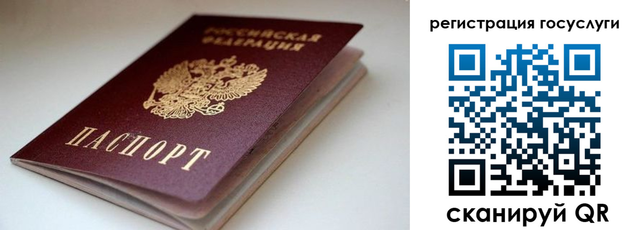 форма 3 в Курганской области